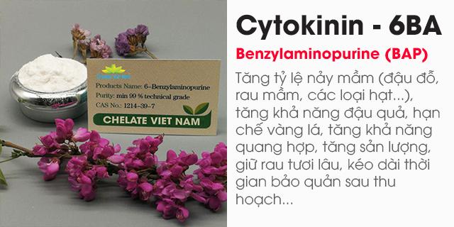 Bán Cytokinin - 6BA 99% (Siêu kích chồi, bật búp) Hormone 6-BAP
